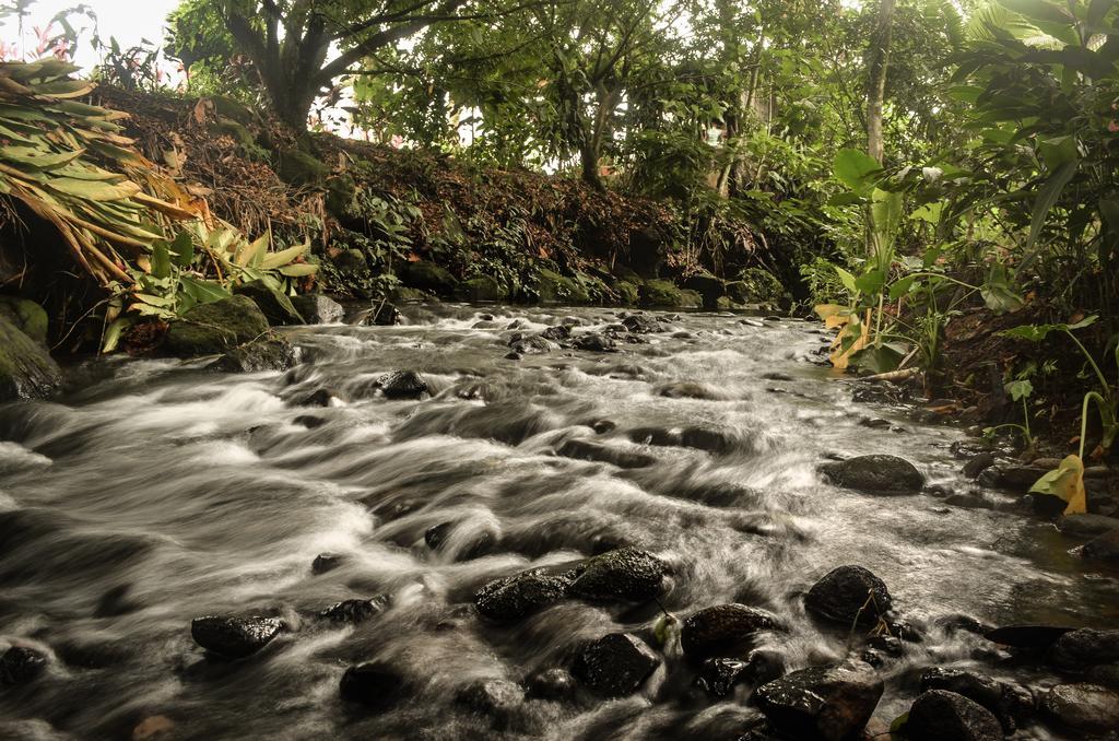 Hostel Rio Danta La Fortuna Kültér fotó