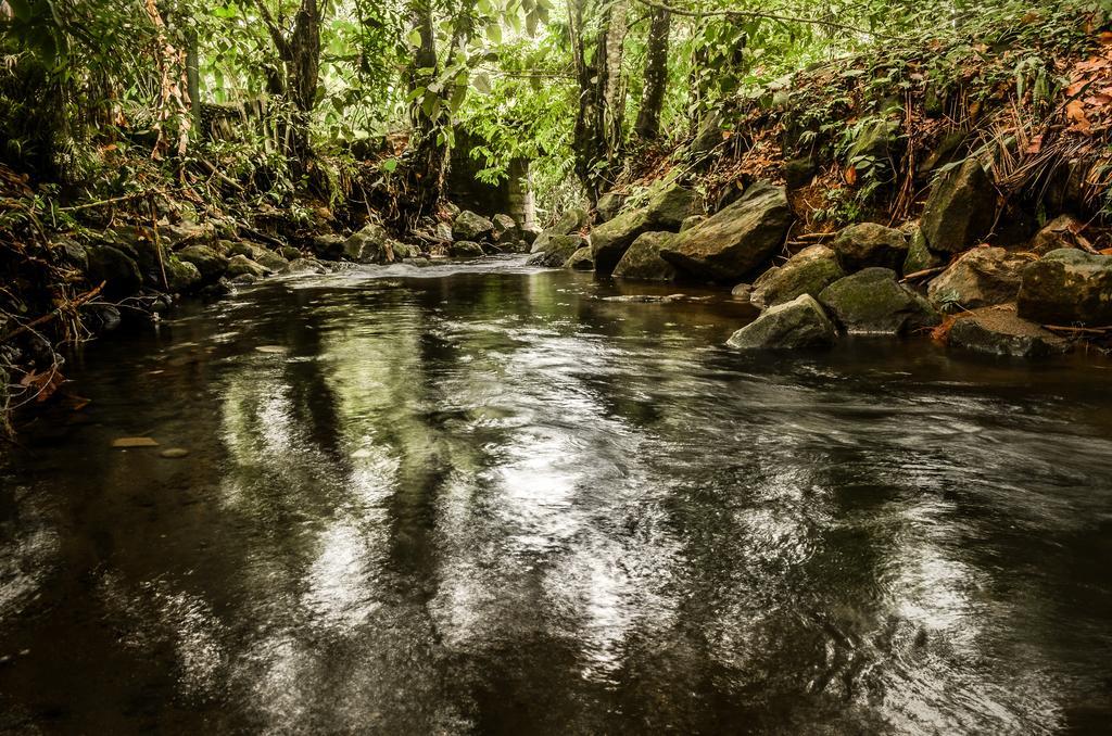 Hostel Rio Danta La Fortuna Kültér fotó